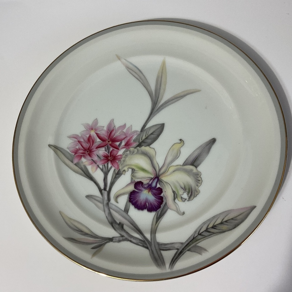 VTG Ivory China (Grace china) in Charleston Pattern Plate